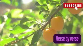 Genesis 1:29 Explained | Provision of Plants and Fruits for Humanity&rsquo;s Food