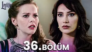 Leylifer 36. B&ouml;l&uuml;m
