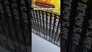 Demo Slayer Full Box Set!