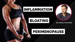 Improve Gut Health: Bloating, Perimenopause, Inflammation & More | Dr Daniel Ricciardi