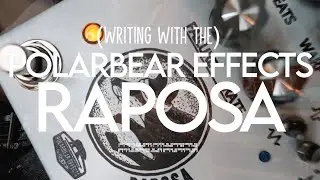 Polarbear Effects: RAPOSA (Haunting/Psychedelic/Imperfect Delay)