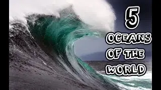5 OCEANS OF THE WORLD || AQFSERIES