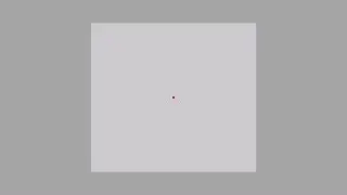 Pupillometry tutorial: from A to Z: 05 task explanation and run
