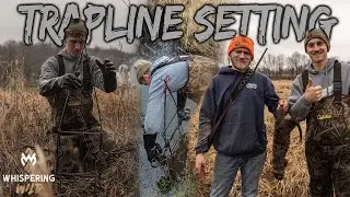 Setting & Checking the Trapline (BEAVER DAMAGE ON FARM!)