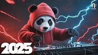 Epic EDM 2025 Mix 🎧 Electro Mashups & Festival Bangers