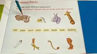 Penguin International School, Class Prep, Science.