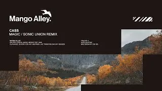 CASS Magic (Sonic Union Remix)