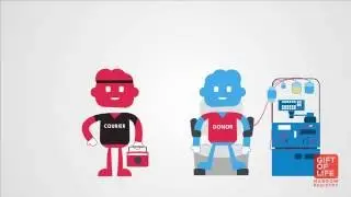 Donors: What is a Bone Marrow/Stem Cell Donation Like?