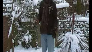 Gay Pastor in the Garden of Snow