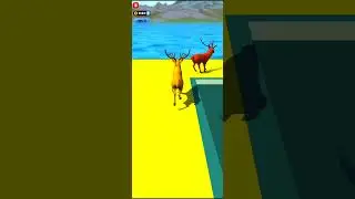 Animal racing game #shortfeed #gaming #trading #motorsport #games #racing #animals