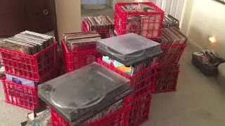 Huge Vinyl Record Haul in Chicago, IL - Heavy Heads Records - Record Store Springfield, Missouri