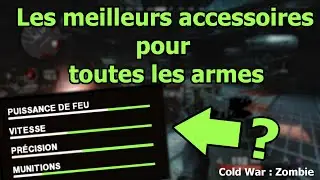 Les meilleurs accessoires pour toutes les armes [ Cold War Zombie ]