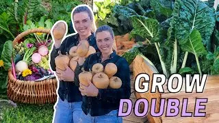 10 Tips to GROW MORE Food from your Edible Home Garden // Sustainable Living in the Suburbs