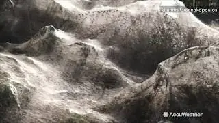 Grecian town covered in THOUSANDS of spider webs