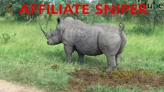 Affiliate Sniper by Cliff Carrigan - Review 2017