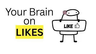 The Neurobiology of Likes: Why Your Brain Craves Social Validation