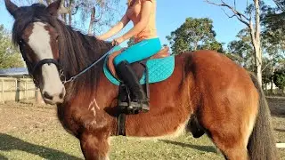 HUDSON'S FIRST RIDDEN COMPETITION!! BARREL RACE AT @🟡 North Queensland Elite Rodeo 2024&trade; 🫶🏻😍