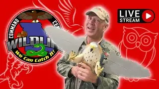 WEDNESDAY TRIVIA NIGHT with Animal Expert Bare Hands Beran LIVE