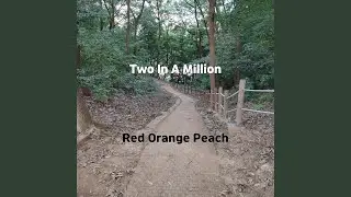 Two In A Million