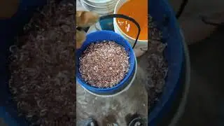 Rose gold plating in barrel