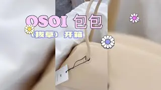 【韩国小众品牌OSOI开箱】鲶鱼包｜适合春天的包包