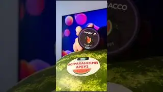 CHABACCO-Астраханский арбуз 🍉#hookah #кальян #обзор #новинка  #сравнение  #shisha #Chabacco