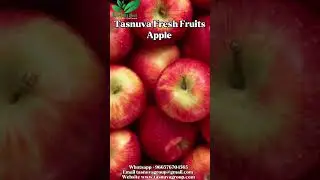 Chinese apples #TasnuvaFreshFruits #ChineseApples #FreshFruits #B2BExport