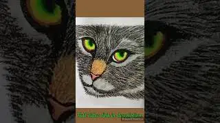 Cat drawing with oil pastel colours #shorts##
