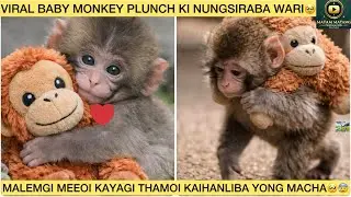 VIRAL BABY MONKEY PUNCHKI NUNGSIRABA WARI KHANGMINASI🥺|MI KAYAGI THAMOI KAIHANLIBA PUNCH🥹😰