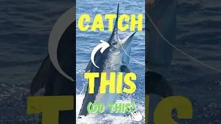 USE THIS To Catch Mega Trophy Fish (Even If You're Weak)!