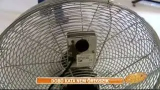 Dob&oacute; Kata megmutatta gyerekkori fot&oacute;it - tv2.hu/aktiv