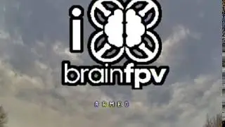 Samurai Brain FPV