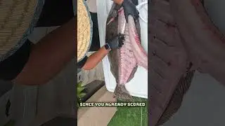 How to Fillet a California Halibut- BIG ONE  #fishing #howto #halibut