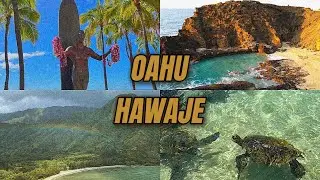PŁYWAŁAM Z ŻÓŁWIAMI 🐢🪼VLOG HAWAJE