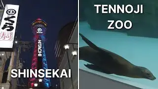 A Day in Shinsekai + Tennoji Zoo (only 500 yen!) 🇯🇵