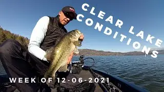 Clear Lake, Ca. conditions report week of 12-6-2021