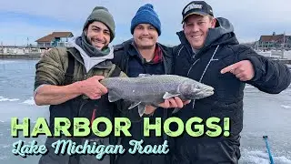 INSANE Trout Action Through the Ice! 😳 Lake Michigan Browns & Steelhead