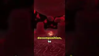 Cosmic Bacterial Revelation 🦠🌌 | Unbelievable Microscopic Scale!