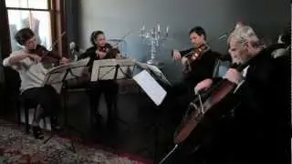 Call Me Maybe -  Carly Rae Jepsen - Stringspace String Quartet