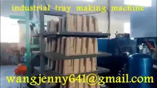 paper seeds tray forming machine-industrial tray forming machine