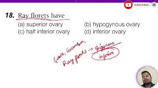 Ray florets have: 1.  Superior ovary 2.  Hypogynous ovary 3.  Half inferior ovary 4. Inferior ovary