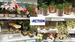 ACTION🌺KWIATY🌻WAZONY🌷SUKULENTY🪻🌹🌸
