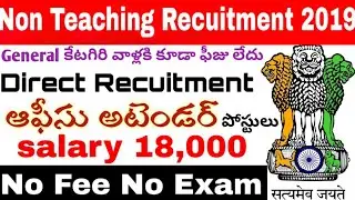 Jobs With Inter Qualification  ||  Recutment 2019 Explain in telugu  ||  Telugu Job Alert