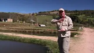 Gavin Hurley fly fishing at the Alpine Trout Farm...