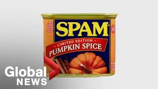 Pumpkin Spam, anyone? The seasonal obsession with pumpkin spice-laced products