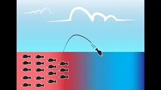 Blue Ocean Thinking and Opportunities for Growth