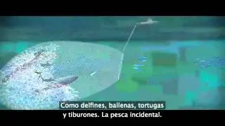 pesca incidental