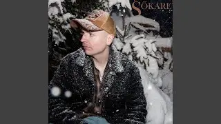 S&ouml;kare