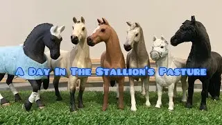 A Day In The Stallion's Pasture |Schleich Horse Short Film|