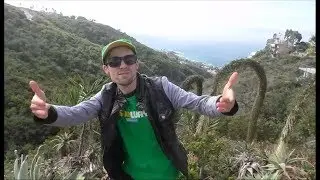Subway's Wrap Star 2018